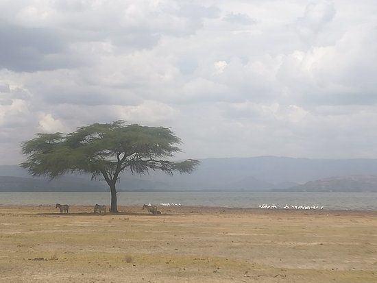 Lake Naivasha